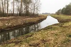 Низовья реки в апреле