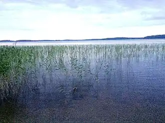 Юго-западная часть Совдозера