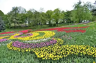 Певческое поле, выставка цветов