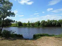 Старица Оки