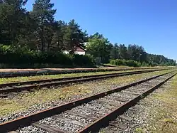 Пути станции. Вид в сторону ст. Салми.