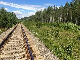 Разобранный боковой путь, вид в сторону ст. Леппясилта