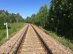 Вид в сторону ст. Ляскеля.