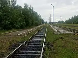 Пассажирские платформы, вид на север.