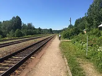 Вид в сторону ст. Ляскеля (2018 г.)