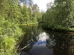 Вид по течению