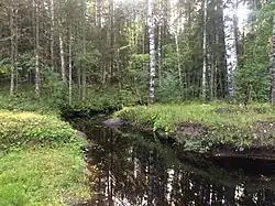 Вид по течению