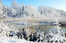 Снежная зима