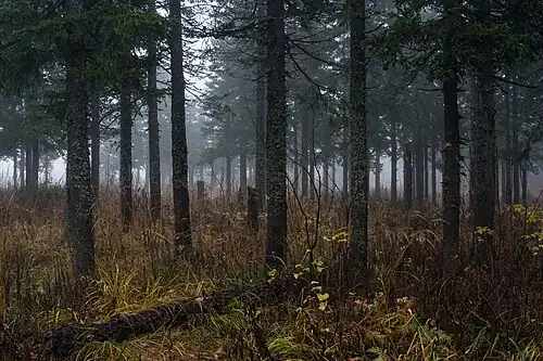 Национальный парк «Таганай»