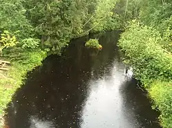 Вид в сторону Онежского озера