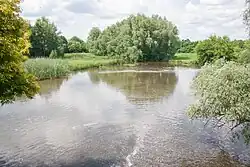 Река в селе Тележинцы