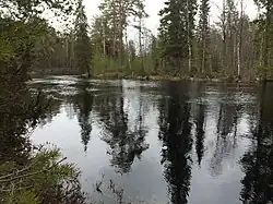 Тикшозерка. Вид по течению.