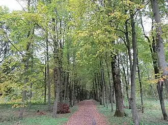 Тугановичский парк в  Карчёво