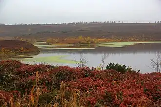 Вид на озеро Тымкыгытгын осенью 2018 года