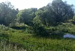 Уготь у а/д Чернь – Медведки