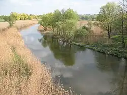 Река весной