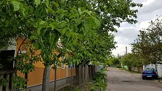 начало улицы — вид со стороны перекрестка с улицей Максима Загривногоустановлены две таблички старого и нового названий