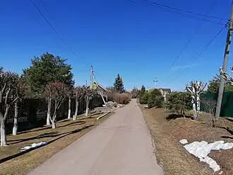 Улица в деревне Мальцы весной 2022 года