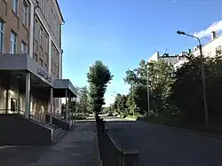 Участок ул. Челюскина от ул. Лядова до ул. Белинского