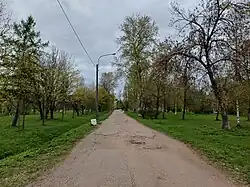 Аллея в парке Александрино, проходящая по трассе упразднённой улицы