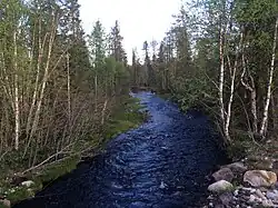 Вид по течению.