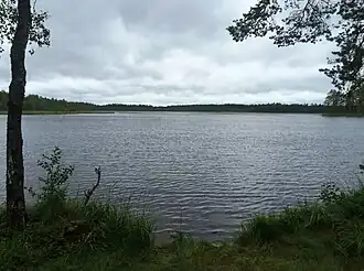 Вид с северо-восточного берега