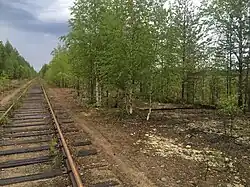 Разобранные боковые пути, вид в сторону ст. Боровая.