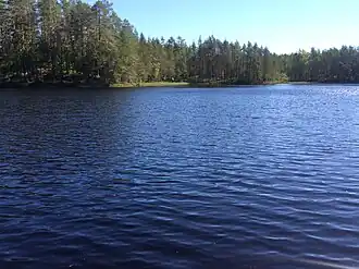 Вид с южного берега