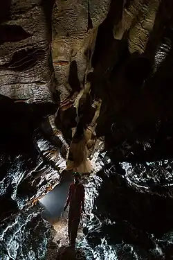 Ход Надежд. Автор Гульназ Сакулина