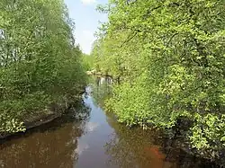 Цна в Лунинецком районе Беларуси