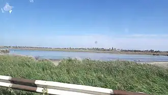 Река южнее села Новопавловка