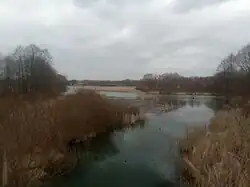 Река Черепетка весной 2020 года