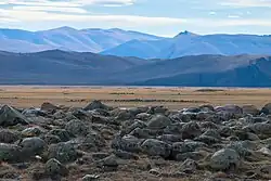 Курганы в Чуйской степи