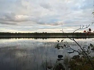 Вид с северо-восточного берега