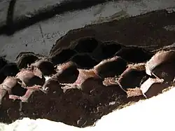 Устройство стен шара