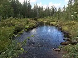 Вид по течению