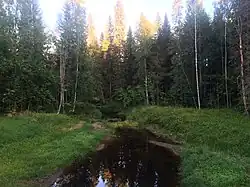 Вид по течению