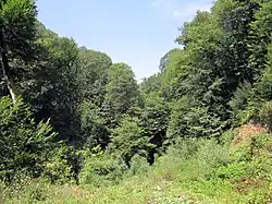 Ущелье Джогаз