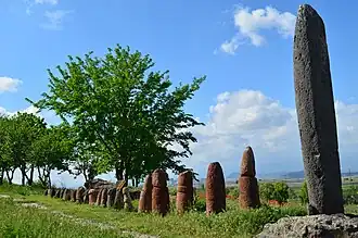 Вишапы, стоящие на руинах Мецаморского городища