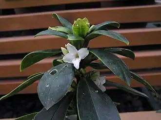 Нет доступного изображения