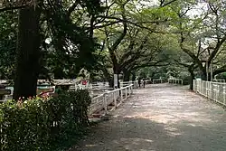 Вид парка в 2011  году