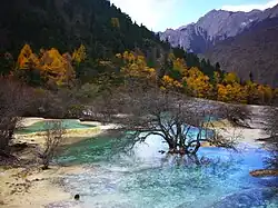 Хуанлун (хребет Миньшань)