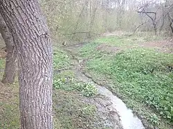 река в 2017 году в селе Суботов