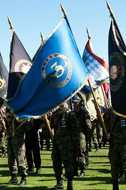 Военнослужащий со знаменем 3-й гвардейской бригады на памятной церемонии Хорватской войны