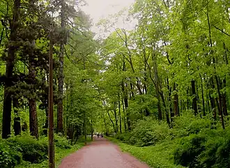 Парк Лесотехнической академии