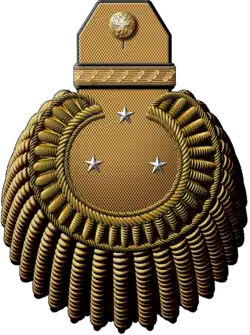 Генерал-лейтенант морской артиллерии