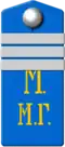 Нестроевой старшего разряда в должности старшего надзирателя за больными и ему равные госпитальные служители. Погон нижних чинов госпитальных команд (образца 1902 года)