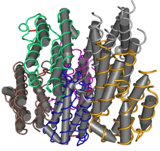 Молекулярная структура интерферона-α