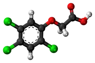 Изображение молекулярной модели