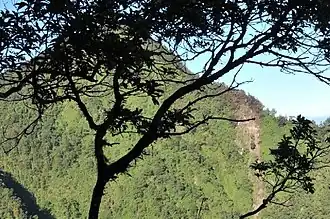 Место катастрофы